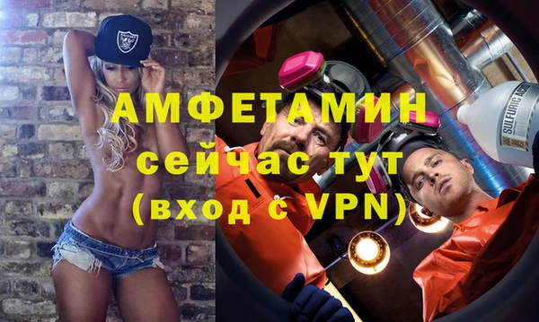 шишки Горно-Алтайск