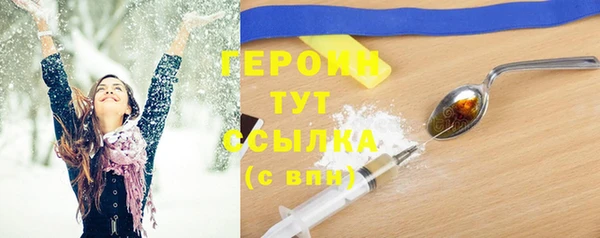 хмурый Гусь-Хрустальный