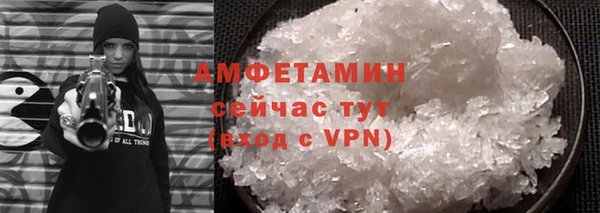 шишки Горно-Алтайск