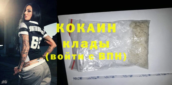 шишки Горно-Алтайск