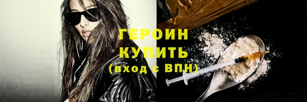 гидра Гусев
