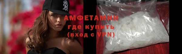 шишки Горно-Алтайск