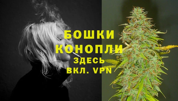 гидра Гусев