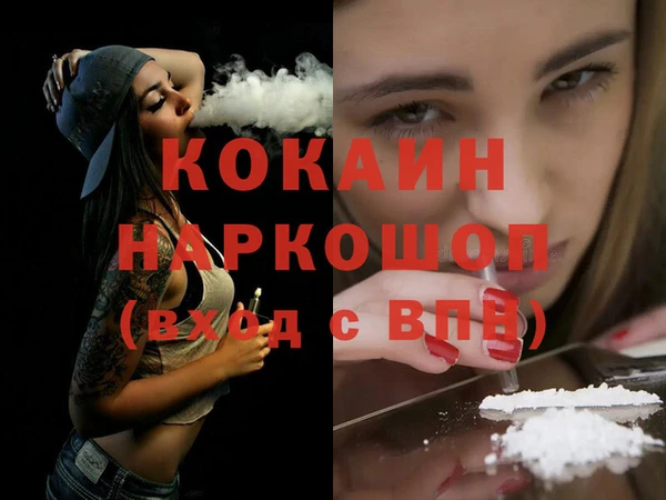 гидра Гусев