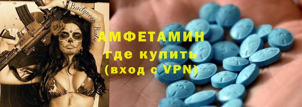 шишки Горно-Алтайск