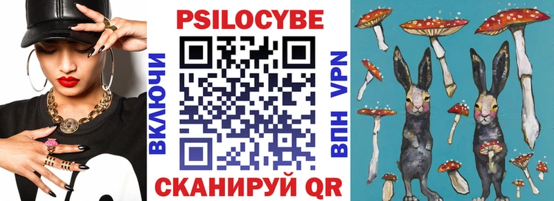 как найти закладки  Гусь-Хрустальный  Галлюциногенные грибы мицелий 